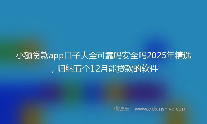 小额贷款app口子大全可靠吗安全吗2025年精选，归纳五个12月能贷款的软件