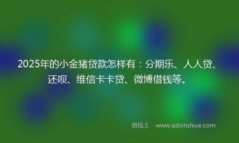 2025年的小金猪贷款怎样有：分期乐、人人贷、还呗、维信卡卡贷、微博借钱等。