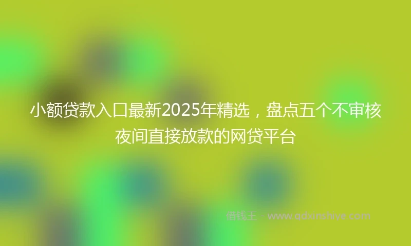 小额贷款入口最新2025年精选，盘点五个不审核夜间直接放款的网贷平台