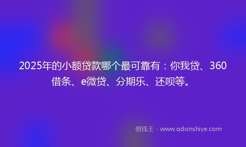 2025年的小额贷款哪个最可靠有：你我贷、360借条、e微贷、分期乐、还呗等。