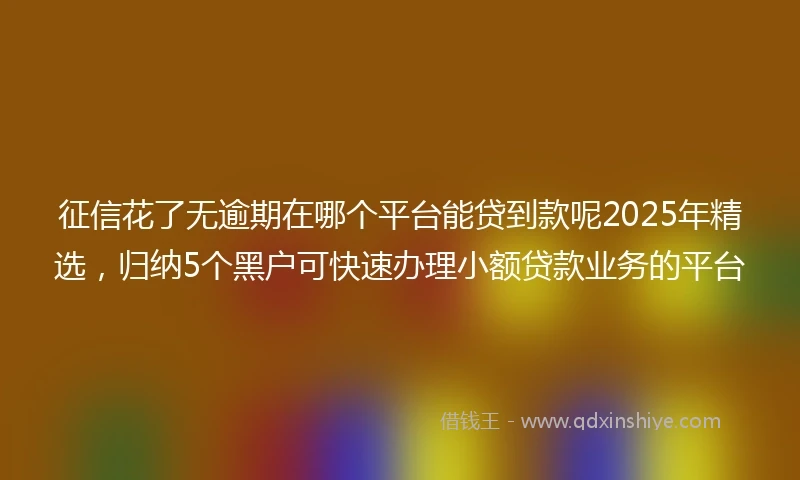 征信花了无逾期在哪个平台能贷到款呢2025年精选，归纳5个黑户可快速办理小额贷款业务的平台
