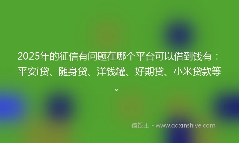 2025年的征信有问题在哪个平台可以借到钱有：平安i贷、随身贷、洋钱罐、好期贷、小米贷款等。