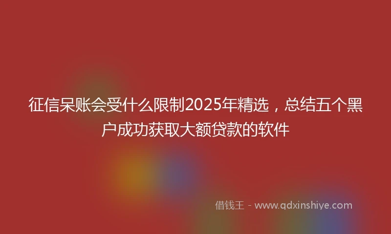征信呆账会受什么限制2025年精选，总结五个黑户成功获取大额贷款的软件