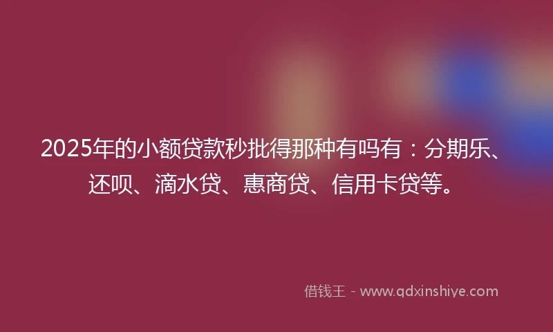 2025年的小额贷款秒批得那种有吗有：分期乐、还呗、滴水贷、惠商贷、信用卡贷等。