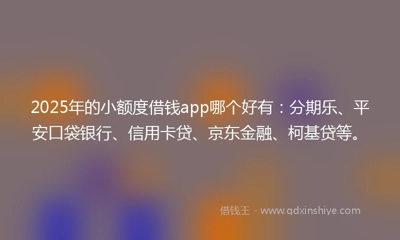 2025年的小额度借钱app哪个好有：分期乐、平安口袋银行、信用卡贷、京东金融、柯基贷等。