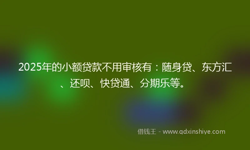 2025年的小额贷款不用审核有：随身贷、东方汇、还呗、快贷通、分期乐等。