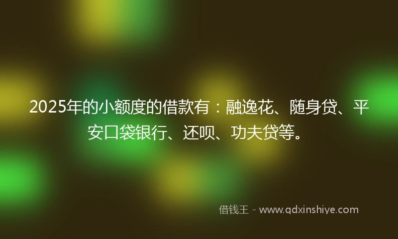 2025年的小额度的借款有：融逸花、随身贷、平安口袋银行、还呗、功夫贷等。