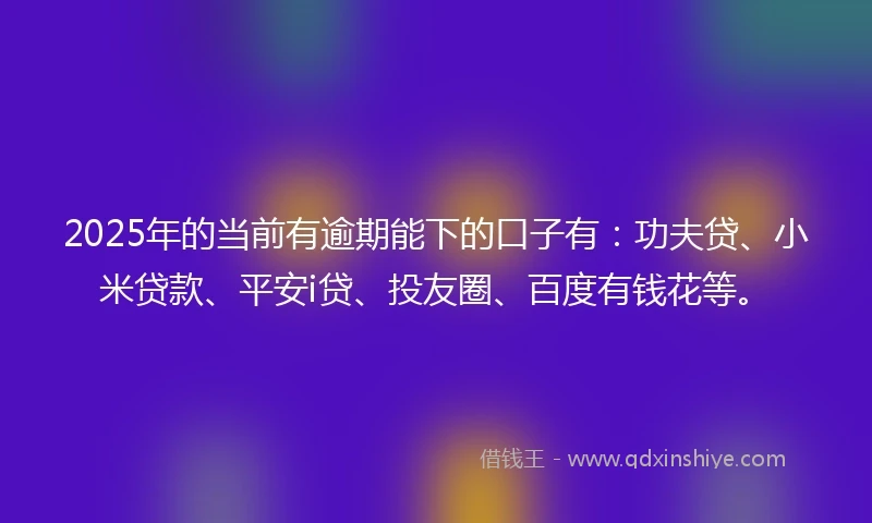 2025年的当前有逾期能下的口子有：功夫贷、小米贷款、平安i贷、投友圈、百度有钱花等。