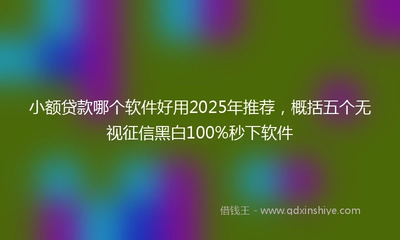 小额贷款哪个软件好用2025年推荐，概括五个无视征信黑白100%秒下软件