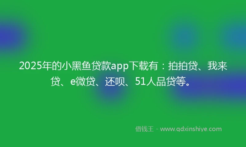 2025年的小黑鱼贷款app下载有：拍拍贷、我来贷、e微贷、还呗、51人品贷等。