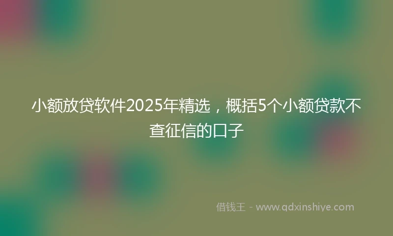小额放贷软件2025年精选，概括5个小额贷款不查征信的口子