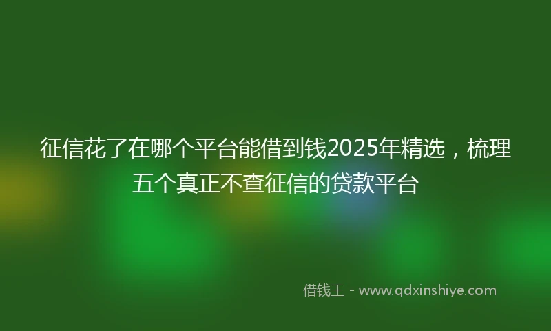 征信花了在哪个平台能借到钱2025年精选，梳理五个真正不查征信的贷款平台