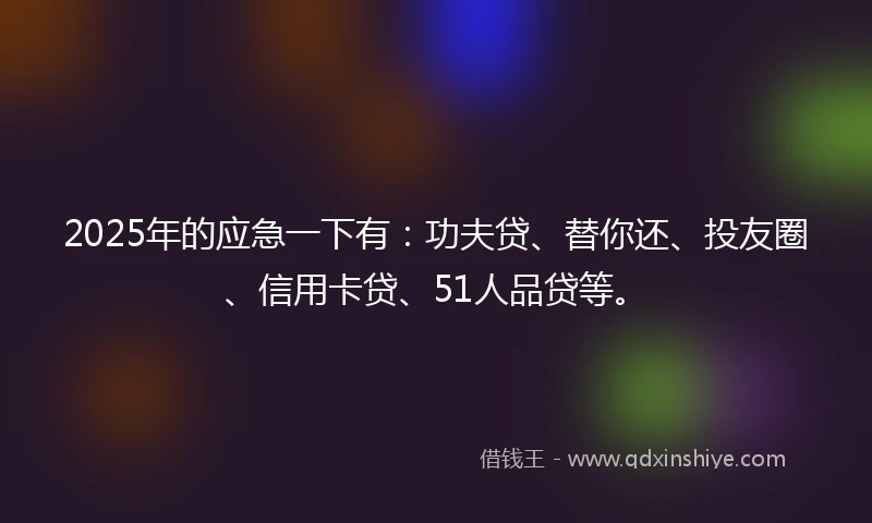 2025年的应急一下有：功夫贷、替你还、投友圈、信用卡贷、51人品贷等。