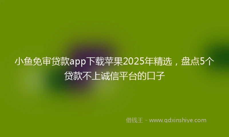 小鱼免审贷款app下载苹果2025年精选，盘点5个贷款不上诚信平台的口子
