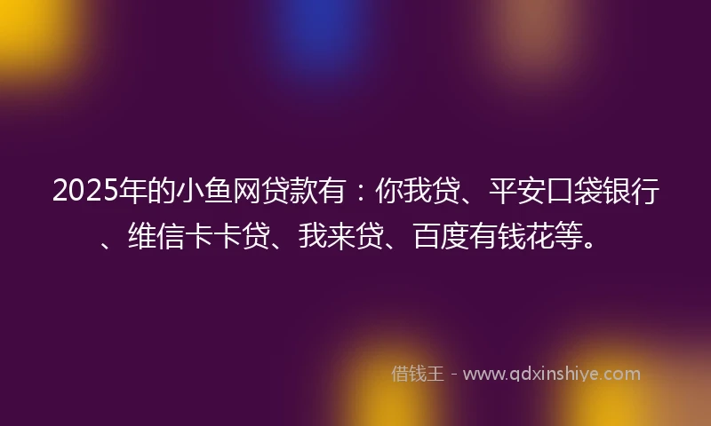 2025年的小鱼网贷款有：你我贷、平安口袋银行、维信卡卡贷、我来贷、百度有钱花等。