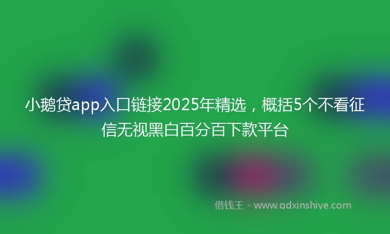 小鹅贷app入口链接2025年精选，概括5个不看征信无视黑白百分百下款平台