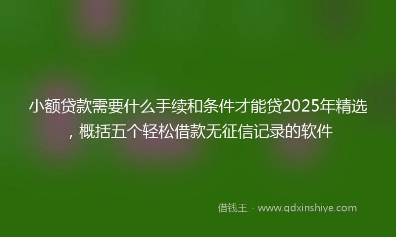 小额贷款需要什么手续和条件才能贷2025年精选，概括五个轻松借款无征信记录的软件