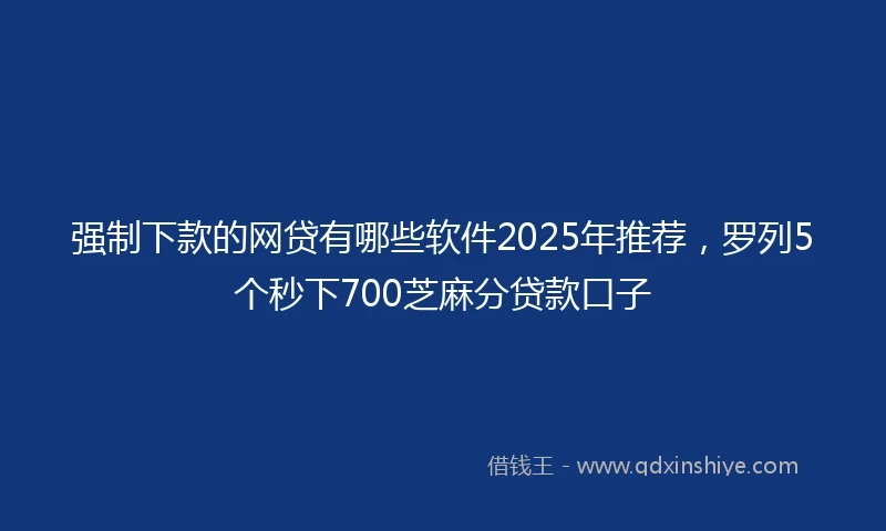 强制下款的网贷有哪些软件2025年推荐，罗列5个秒下700芝麻分贷款口子