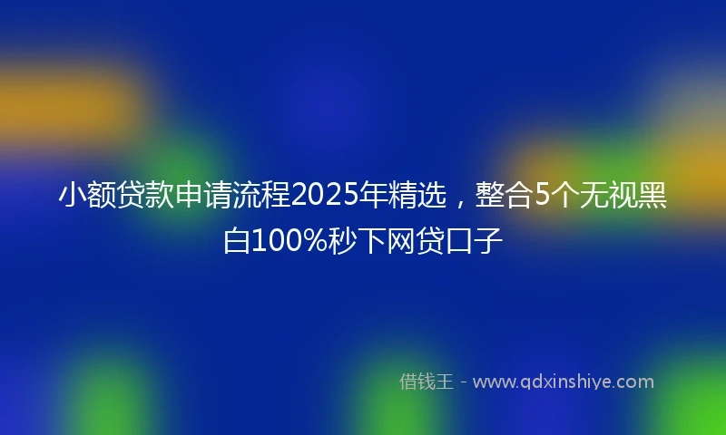 小额贷款申请流程2025年精选，整合5个无视黑白100%秒下网贷口子
