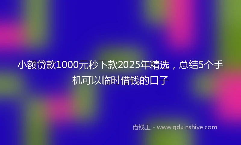 小额贷款1000元秒下款2025年精选，总结5个手机可以临时借钱的口子