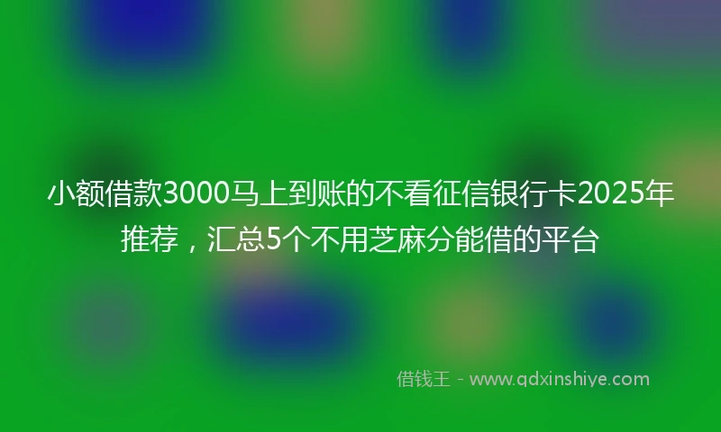 小额借款3000马上到账的不看征信银行卡2025年推荐，汇总5个不用芝麻分能借的平台