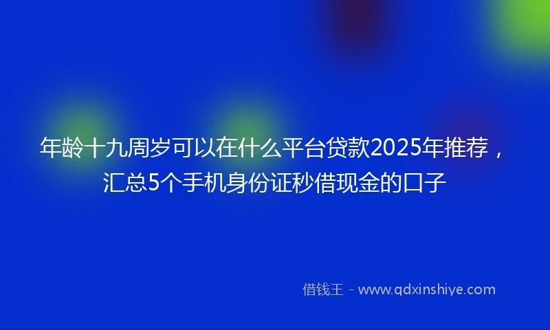 年龄十九周岁可以在什么平台贷款2025年推荐,汇总5个手机身份证秒借现金的口子