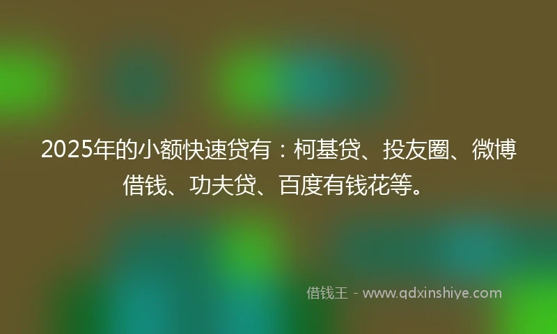 2025年的小额快速贷有：柯基贷、投友圈、微博借钱、功夫贷、百度有钱花等。