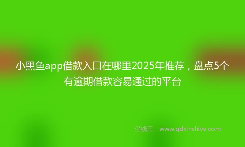 小黑鱼app借款入口在哪里2025年推荐，盘点5个有逾期借款容易通过的平台
