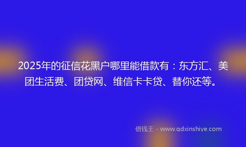 2025年的征信花黑户哪里能借款有：东方汇、美团生活费、团贷网、维信卡卡贷、替你还等。