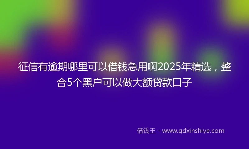 征信有逾期哪里可以借钱急用啊2025年精选，整合5个黑户可以做大额贷款口子