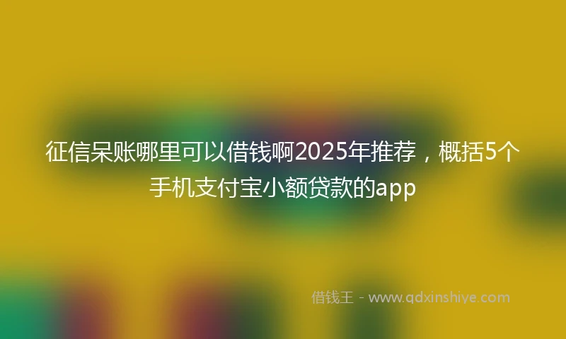 征信呆账哪里可以借钱啊2025年推荐，概括5个手机支付宝小额贷款的app