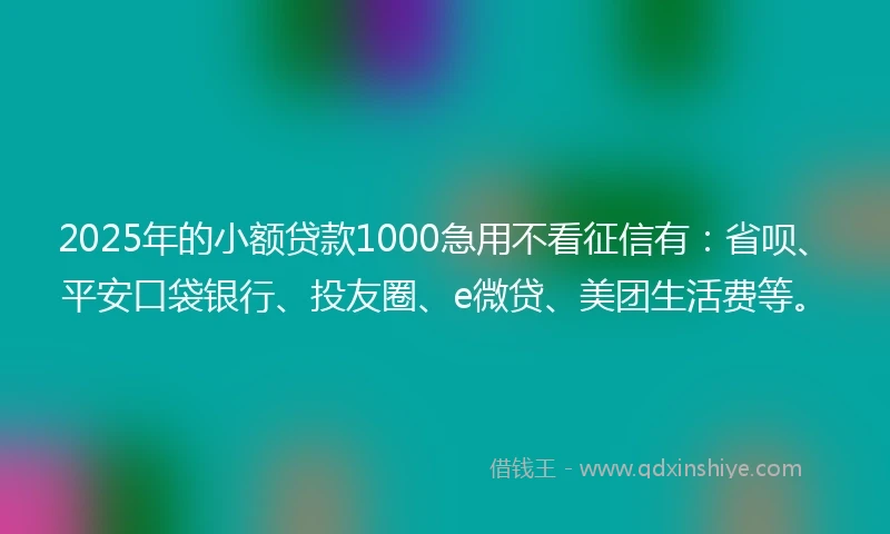 2025年的小额贷款1000急用不看征信有：省呗、平安口袋银行、投友圈、e微贷、美团生活费等。