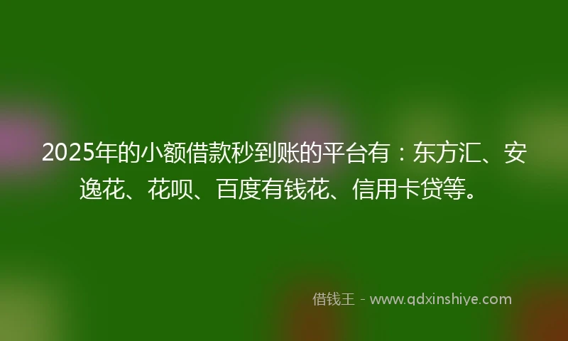 2025年的小额借款秒到账的平台有：东方汇、安逸花、花呗、百度有钱花、信用卡贷等。