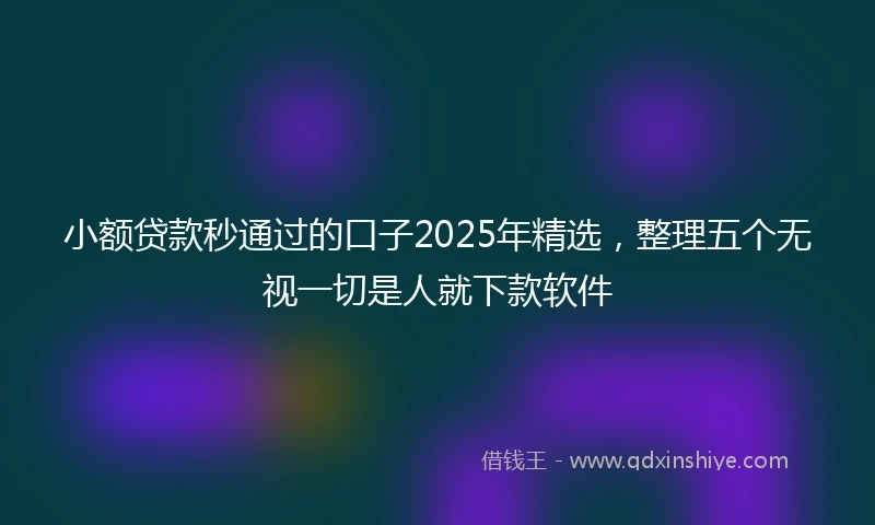小额贷款秒通过的口子2025年精选,整理五个无视一切是人就下款软件
