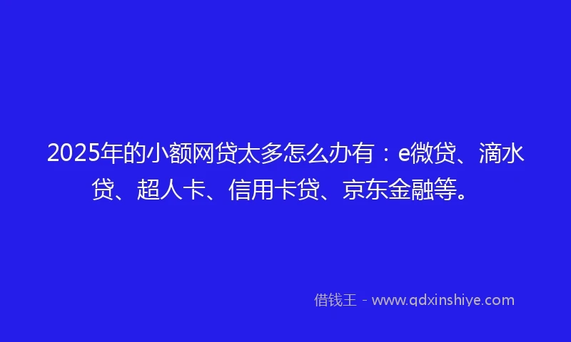 2025年的小额网贷太多怎么办有：e微贷、滴水贷、超人卡、信用卡贷、京东金融等。