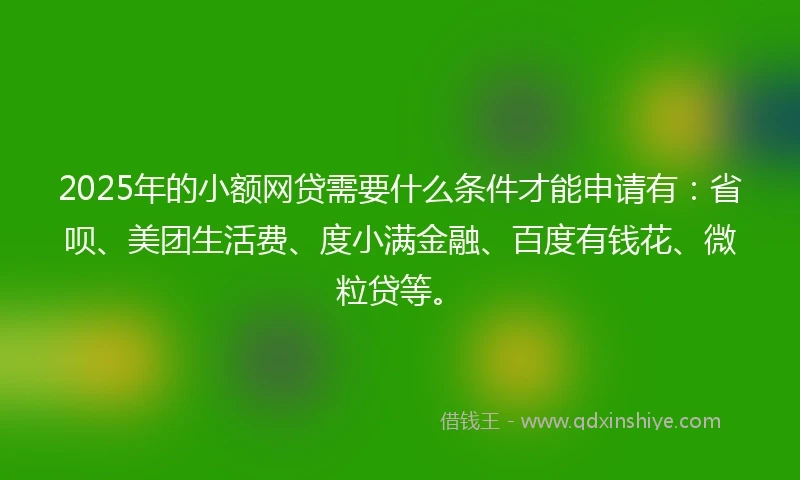 2025年的小额网贷需要什么条件才能申请有：省呗、美团生活费、度小满金融、百度有钱花、微粒贷等。
