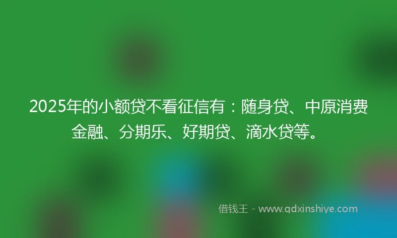 2025年的小额贷不看征信有：随身贷、中原消费金融、分期乐、好期贷、滴水贷等。