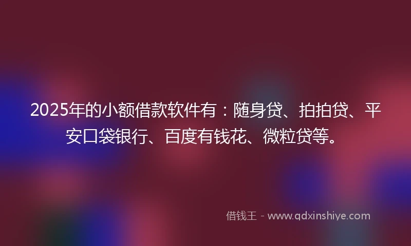 2025年的小额借款软件有：随身贷、拍拍贷、平安口袋银行、百度有钱花、微粒贷等。