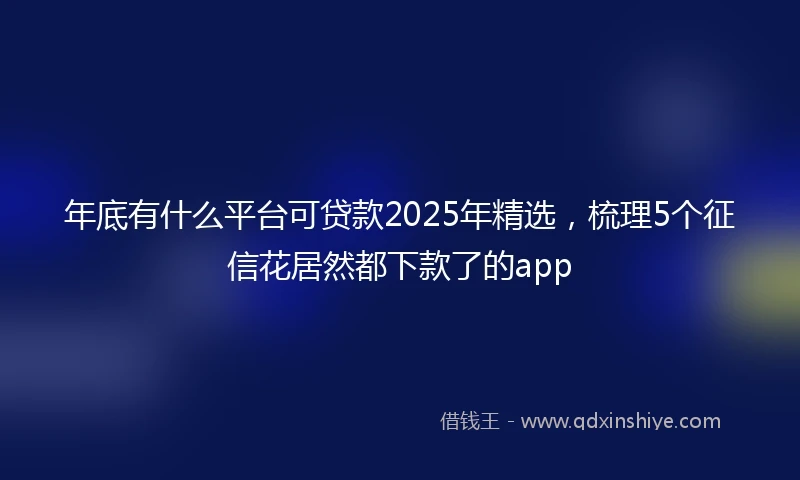 年底有什么平台可贷款2025年精选，梳理5个征信花居然都下款了的app