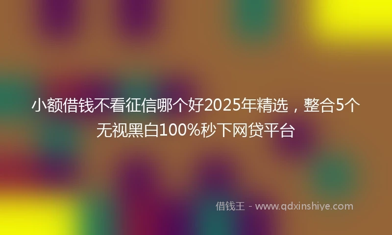 小额借钱不看征信哪个好2025年精选，整合5个无视黑白100%秒下网贷平台