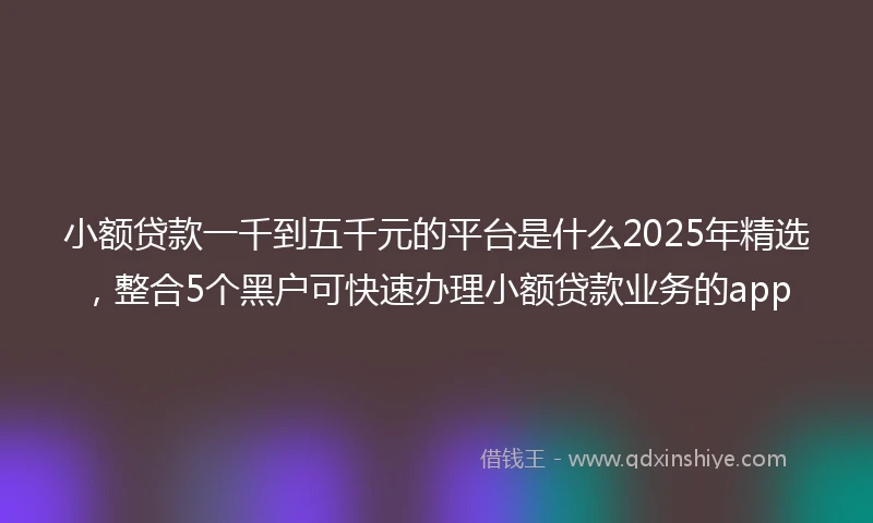 小额贷款一千到五千元的平台是什么2025年精选，整合5个黑户可快速办理小额贷款业务的app