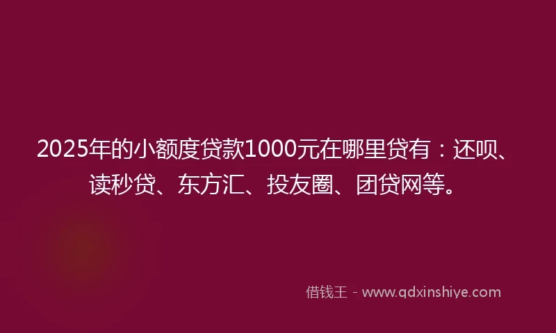 2025年的小额度贷款1000元在哪里贷有：还呗、读秒贷、东方汇、投友圈、团贷网等。
