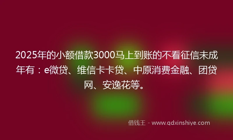 2025年的小额借款3000马上到账的不看征信未成年有：e微贷、维信卡卡贷、中原消费金融、团贷网、安逸花等。