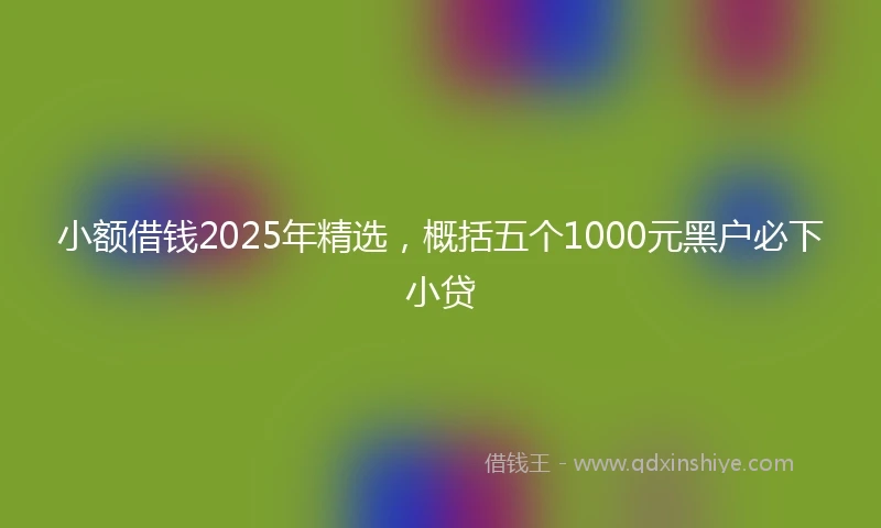 小额借钱2025年精选，概括五个1000元黑户必下小贷