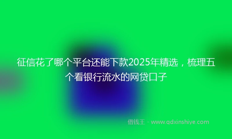 征信花了哪个平台还能下款2025年精选，梳理五个看银行流水的网贷口子