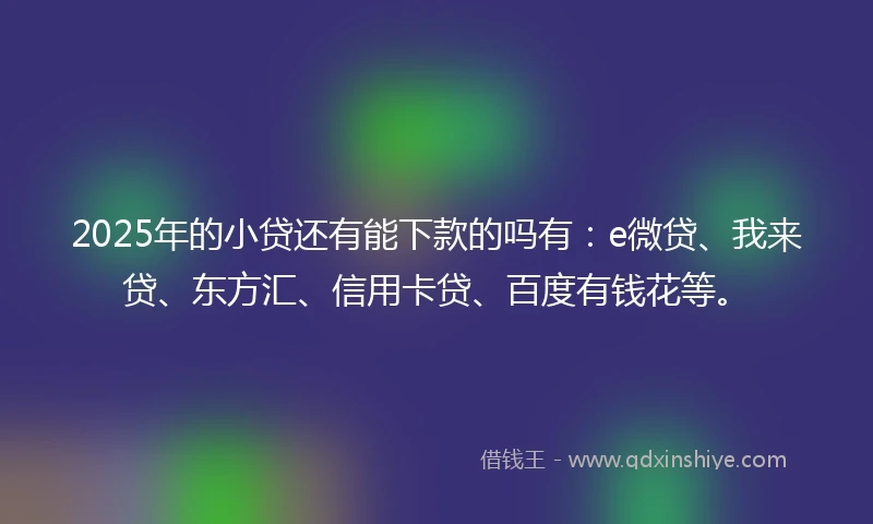 2025年的小贷还有能下款的吗有：e微贷、我来贷、东方汇、信用卡贷、百度有钱花等。