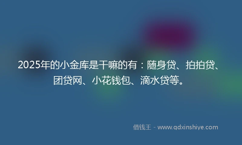 2025年的小金库是干嘛的有：随身贷、拍拍贷、团贷网、小花钱包、滴水贷等。