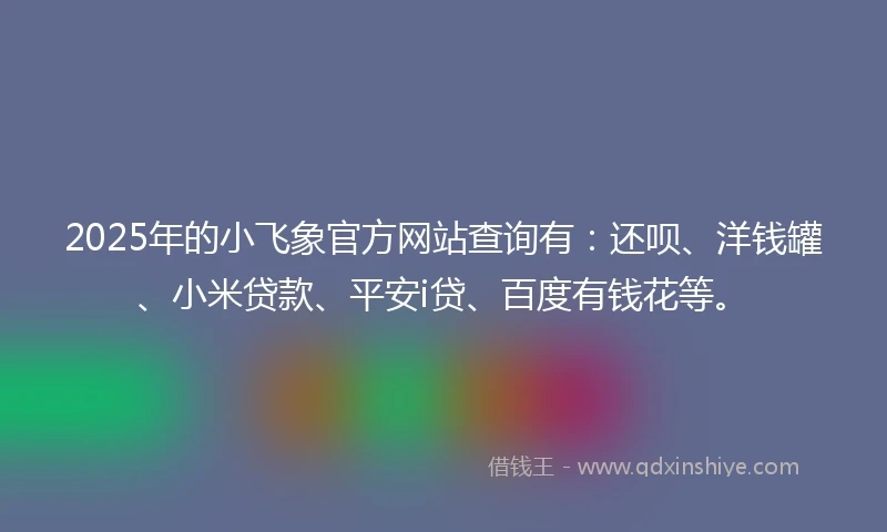 2025年的小飞象官方网站查询有：还呗、洋钱罐、小米贷款、平安i贷、百度有钱花等。