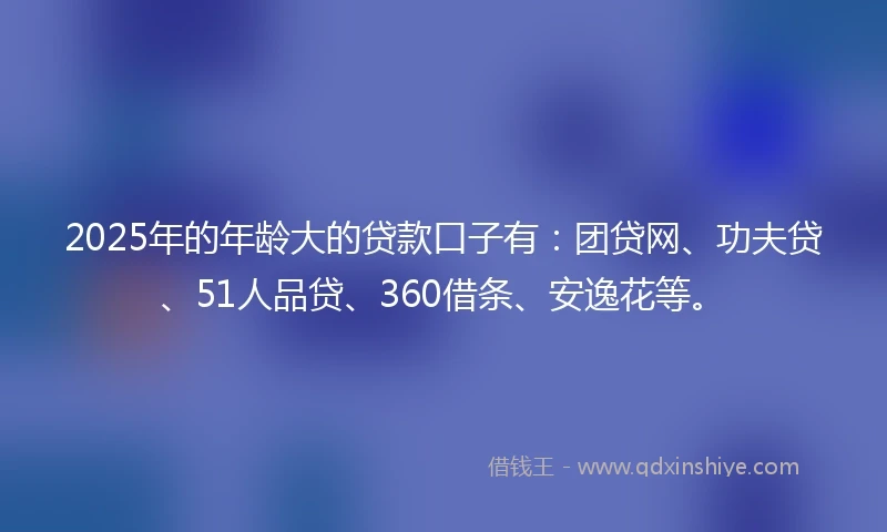 2025年的年龄大的贷款口子有：团贷网、功夫贷、51人品贷、360借条、安逸花等。