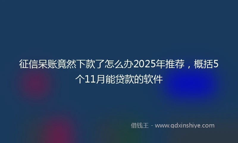 征信呆账竟然下款了怎么办2025年推荐，概括5个11月能贷款的软件